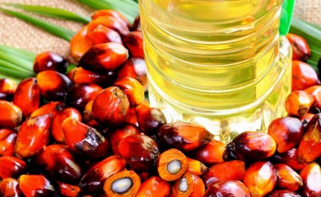 Kandungan Gizi Minyak Sawit Tekan Kanker dan Tumor