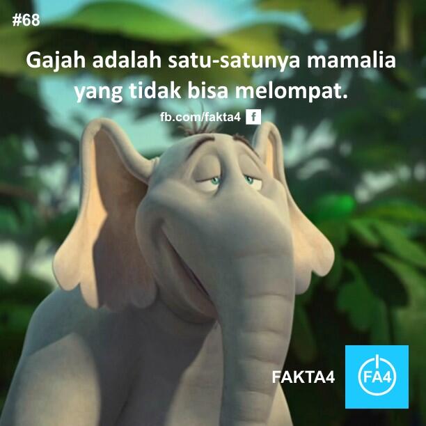 Gajah, Hewan Darat Yang Tak Bisa Melompat