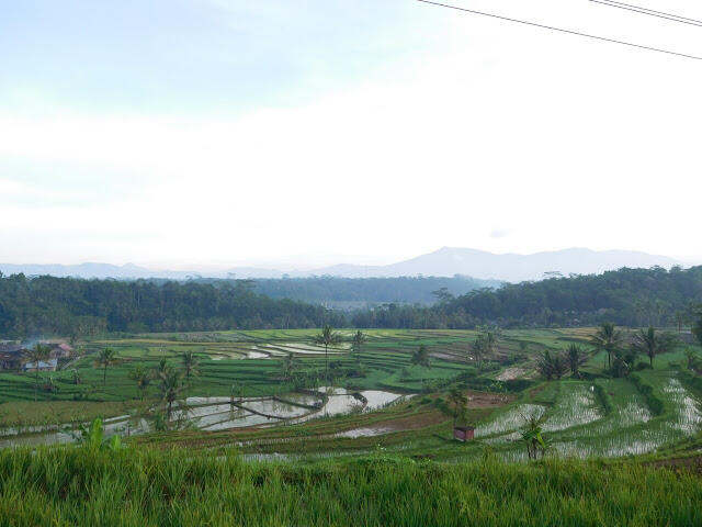 7 WISATA ELOK TERSEMBUNYI DI TEMANGGUNG