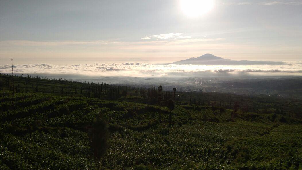 31 TEMPAT WISATA DI TEMANGGUNG LENGKAP