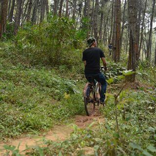 31 TEMPAT WISATA DI TEMANGGUNG LENGKAP