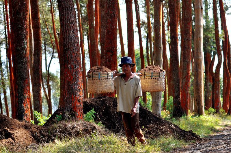 31 TEMPAT WISATA DI TEMANGGUNG LENGKAP