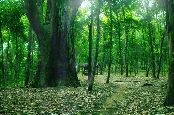 31 TEMPAT WISATA DI TEMANGGUNG LENGKAP