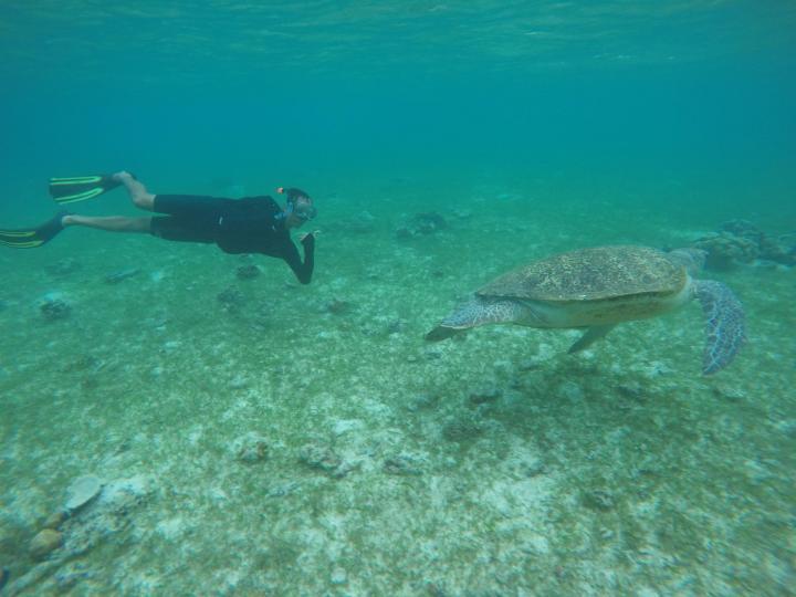 Derawan 18-21 agustus cuma 1,700K