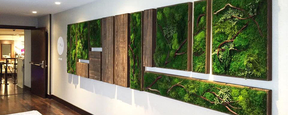 Moss Art : Seni Merangkai Lumut