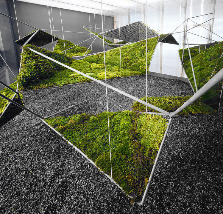 Moss Art : Seni Merangkai Lumut