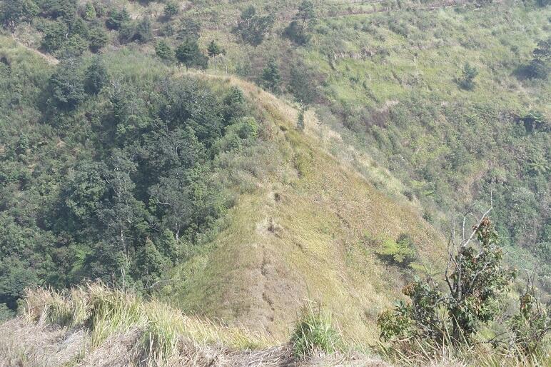 GUNUNG KENDIL (WISATA TERSEMBUNYI DI PERBATASAN TEMANGGUNG-WONOSOBO)