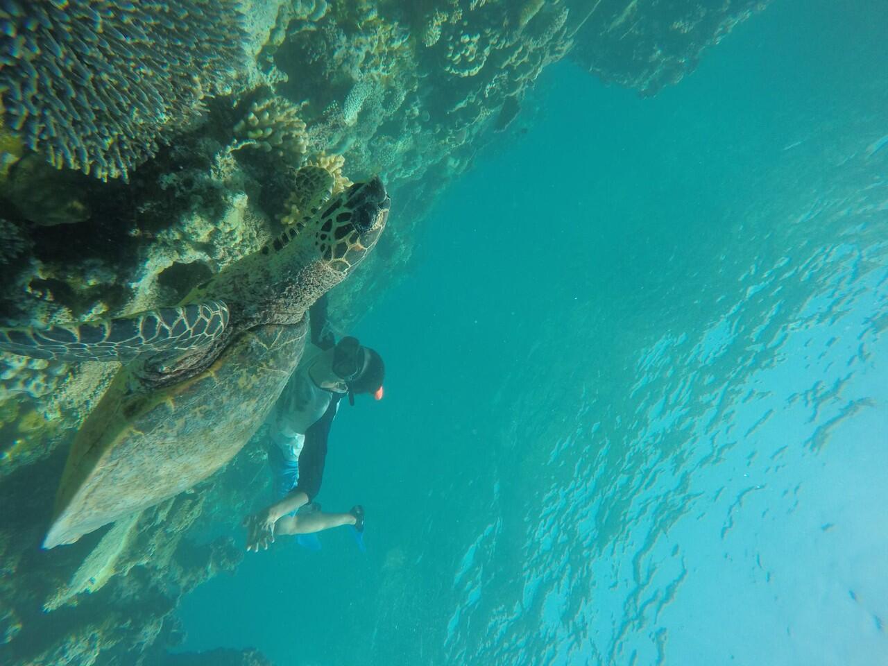 OPEN TRIP 2017 KE MALADEWA (MALDIVES) - 4D3N 7.799JT/ORANG !