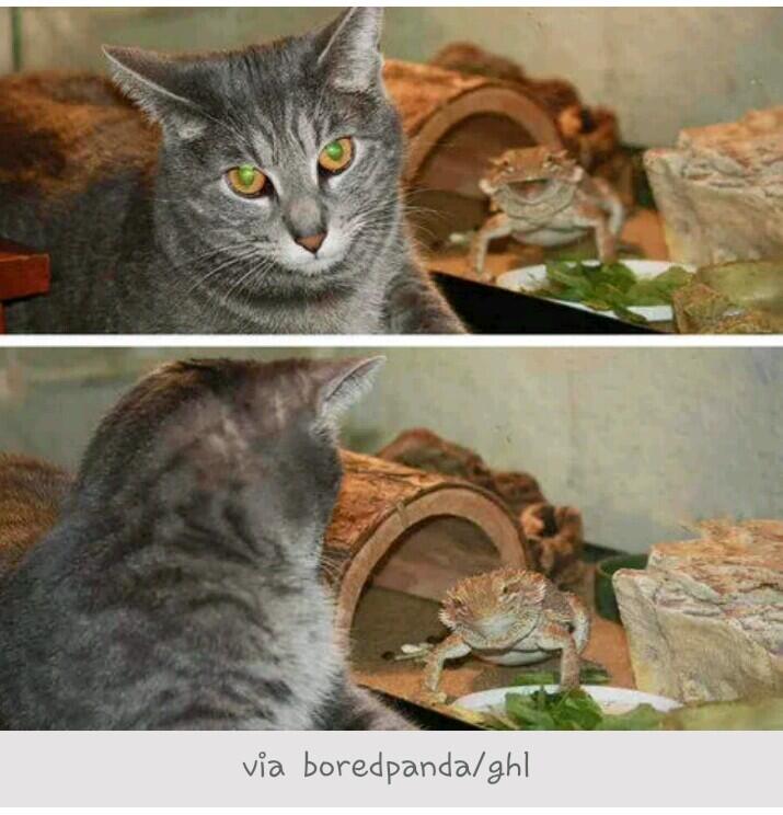Hindari stress gan, hidup masih panjang 