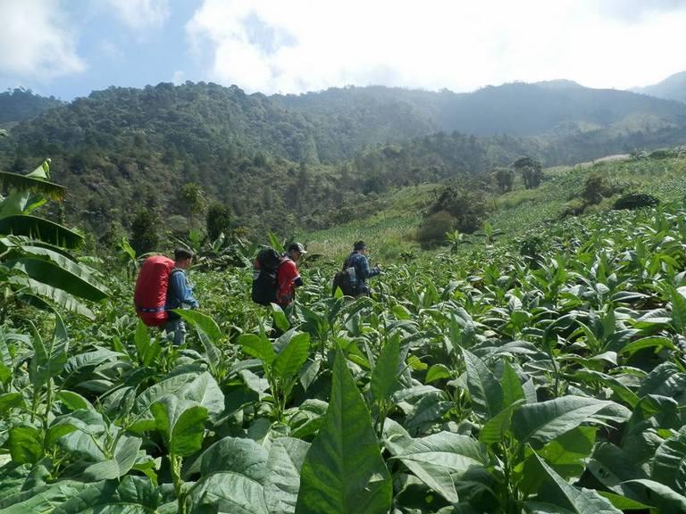 &#91;CatPer&#93; Gunung Guntur 2.249 MDPL via Cikahuripan (pp), 05-06 Juli 2016