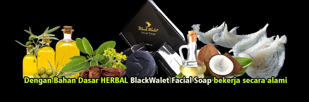 Sabun Muka Burung Walet, 100rb, Potensi 1 Jt Sehari