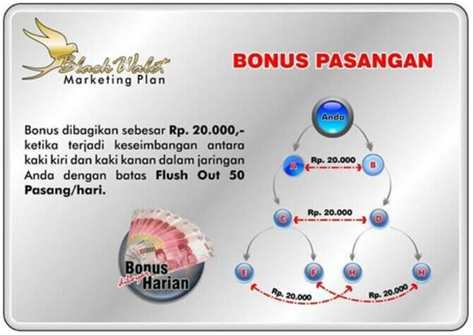 Sabun Muka Burung Walet, 100rb, Potensi 1 Jt Sehari