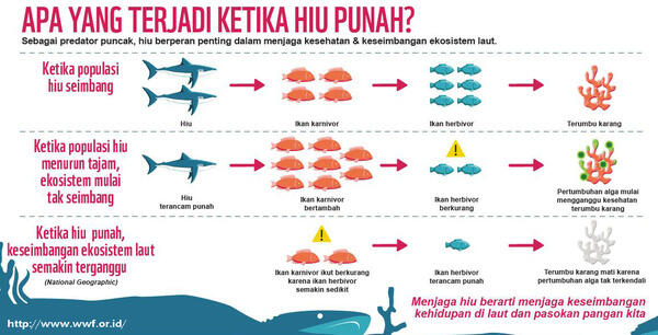 Ayo Selamatkan HIU !