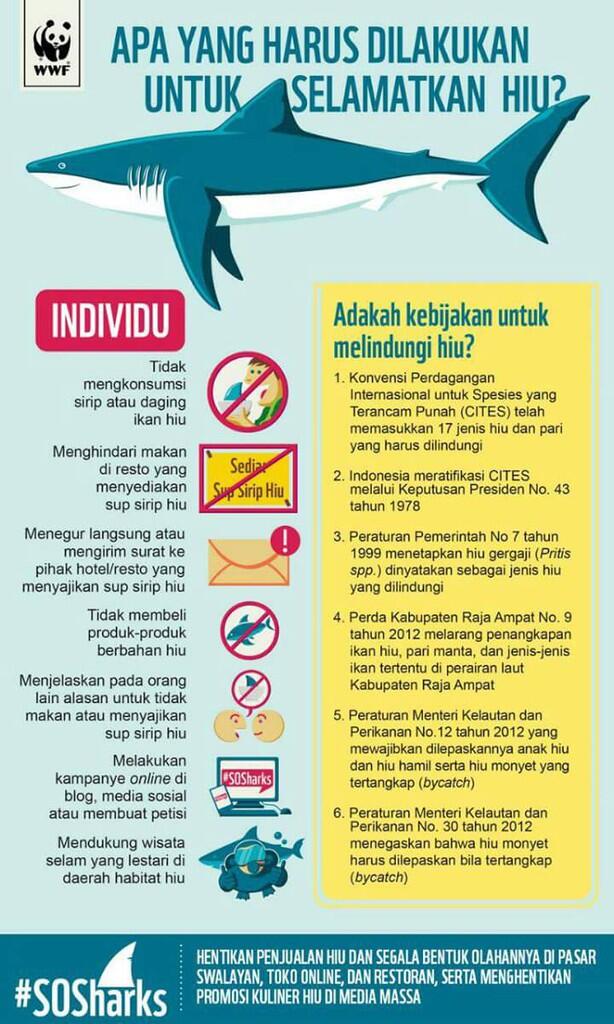 Ayo Selamatkan HIU !