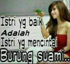 Kenapa Penis identik dengan kata &quot;Burung&quot;?