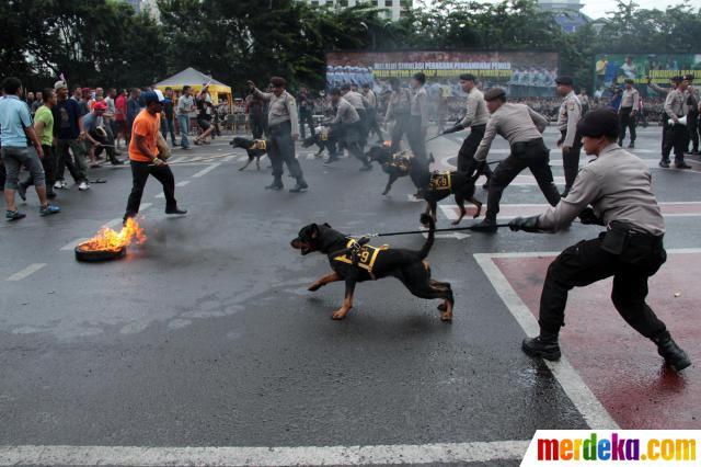 Mari Gan, Mengenal Jenis Seragam Kepolisian Kita 