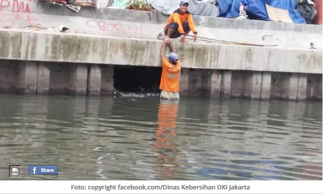 Demi Kucing, Petugas Kebersihan Ini Rela Masuk Ke Saluran Air