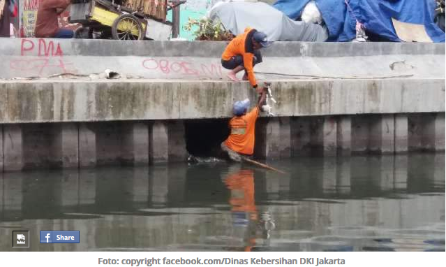 Demi Kucing, Petugas Kebersihan Ini Rela Masuk Ke Saluran Air