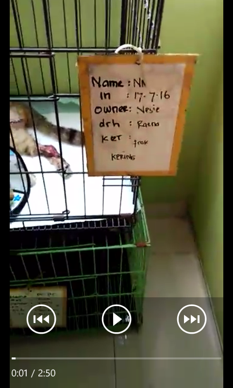 Tolong Kucing Ini! :&quot;(