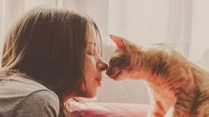 GanSis Suka Banget Kucing? Bisa Jadi Karena Penyakit!