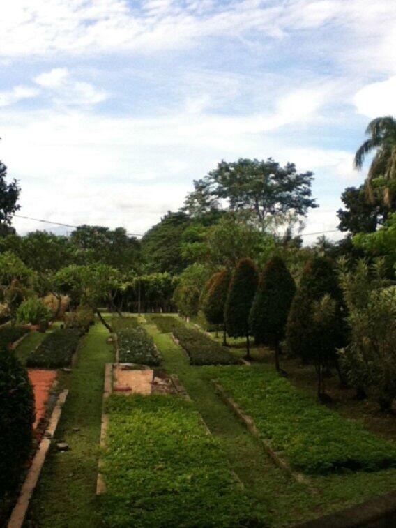 Ini Dia Tempat Hangout Tersembunyi di Jakarta yang agan dan sista Kunjungi