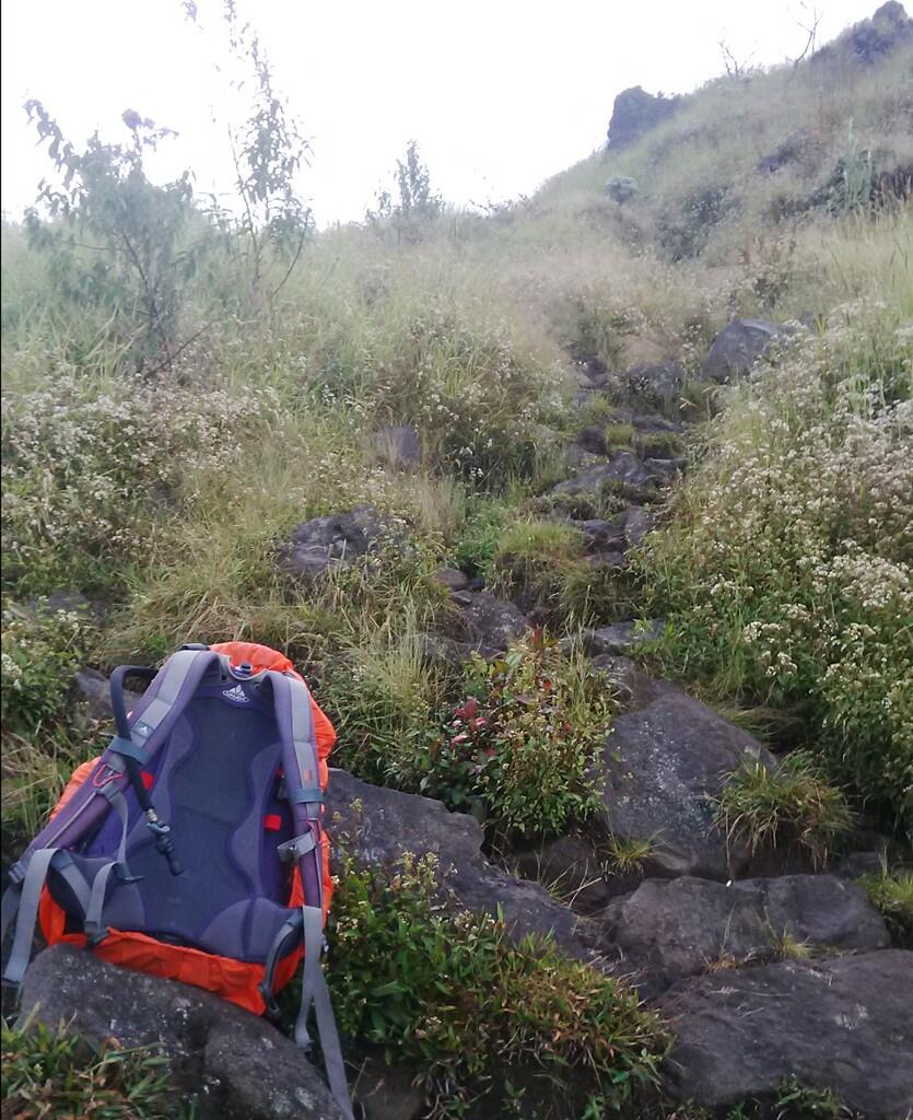 CatPer - Jejalan Kawasan Puncak Sindoro