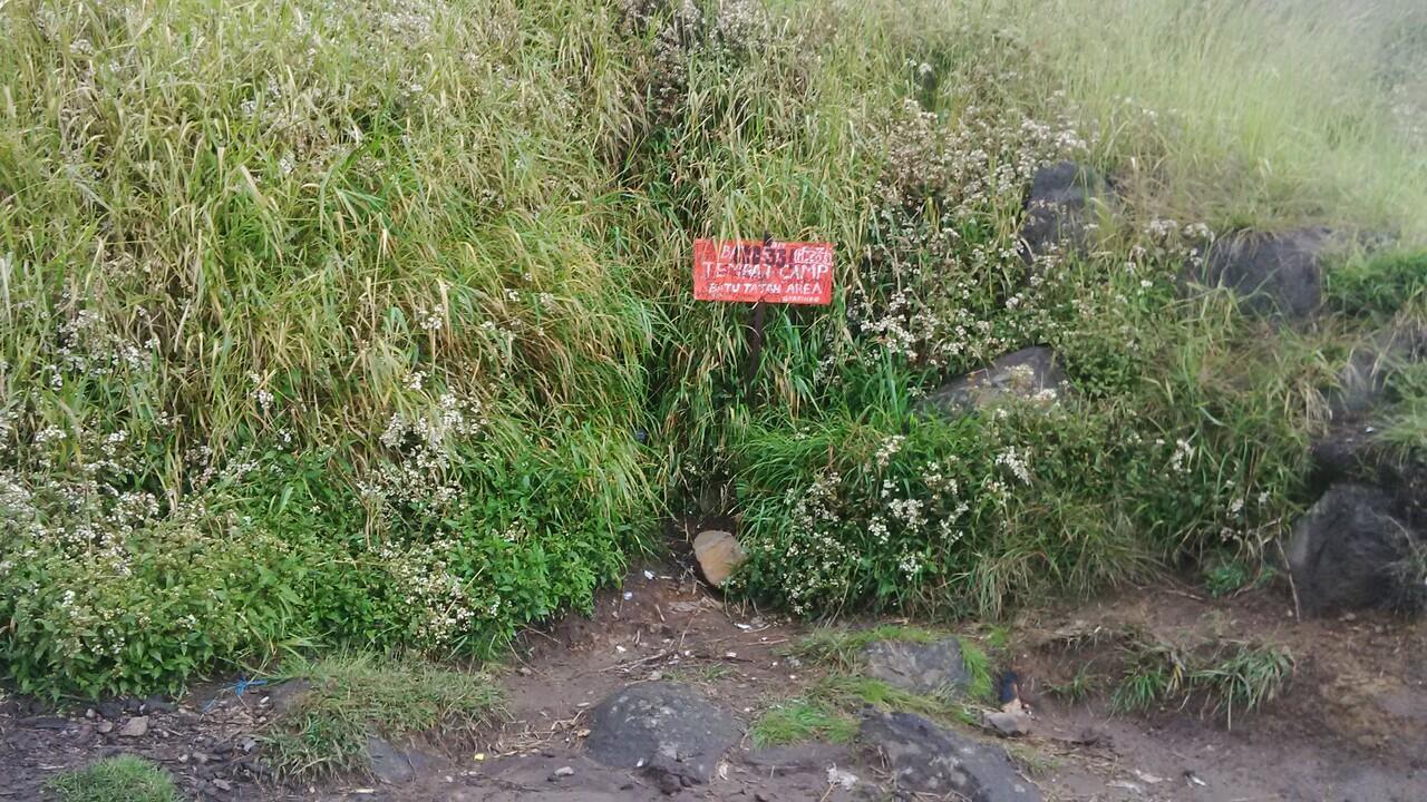 CatPer - Jejalan Kawasan Puncak Sindoro