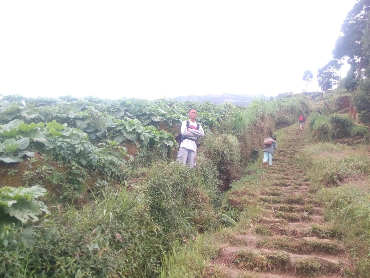 Perjalanan mendaki Gunung Sumbing Via Desa Butuh Kaliangkrik