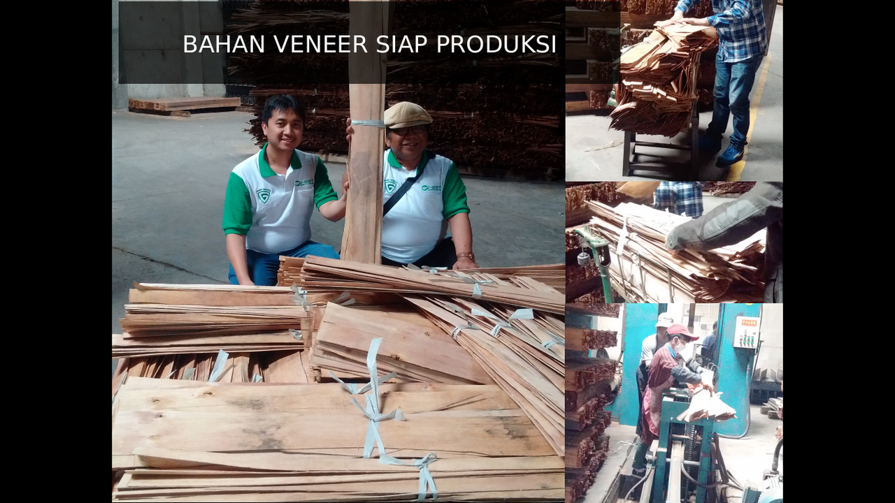 <<<GREEN WARRIOR>>> Mempersiapkan Dana Pensiun Dengan Menghijaukan Bumi