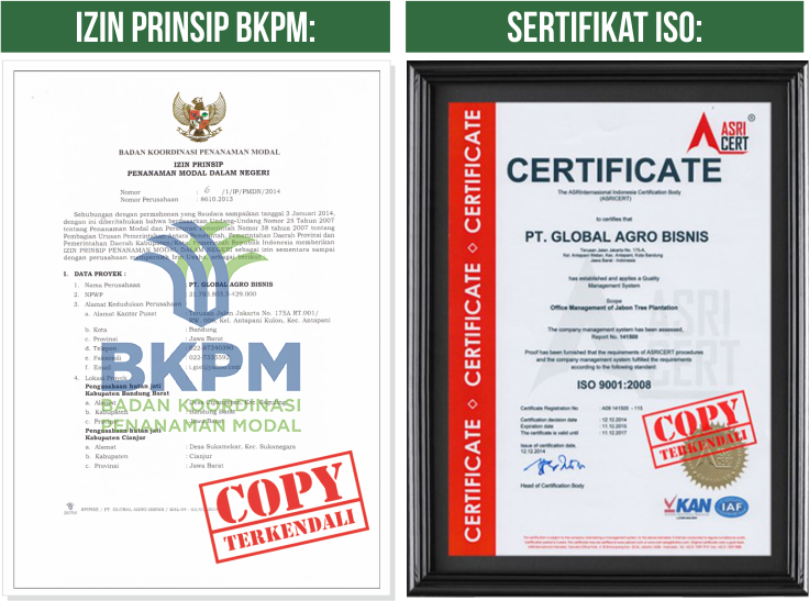Dukungan Mentri Lingkungan Hidup terhadap Program Bisnis "GREEN WARRIOR"