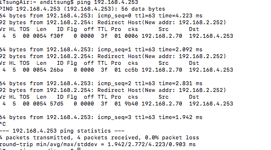 ping redirect host