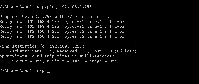 ping redirect host