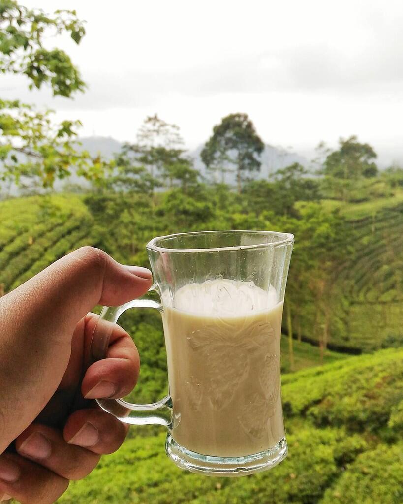 Yang Mana Nih Sajian Asli Indonesia Favorit Agan Pas Lagi Hujan?