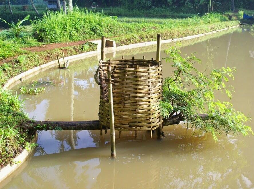 Inilah Toilet Pertama di Dunia, Agan Mau Tau?