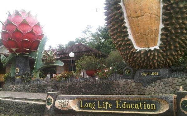 Surga Bagi para Pecinta Durian