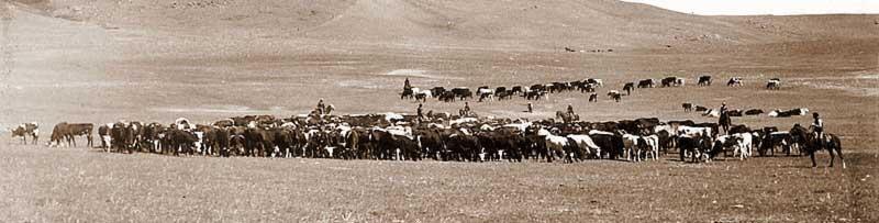 ≈ Hal-hal yang mungkin agan belum tau tentang Billy the Kid ≈