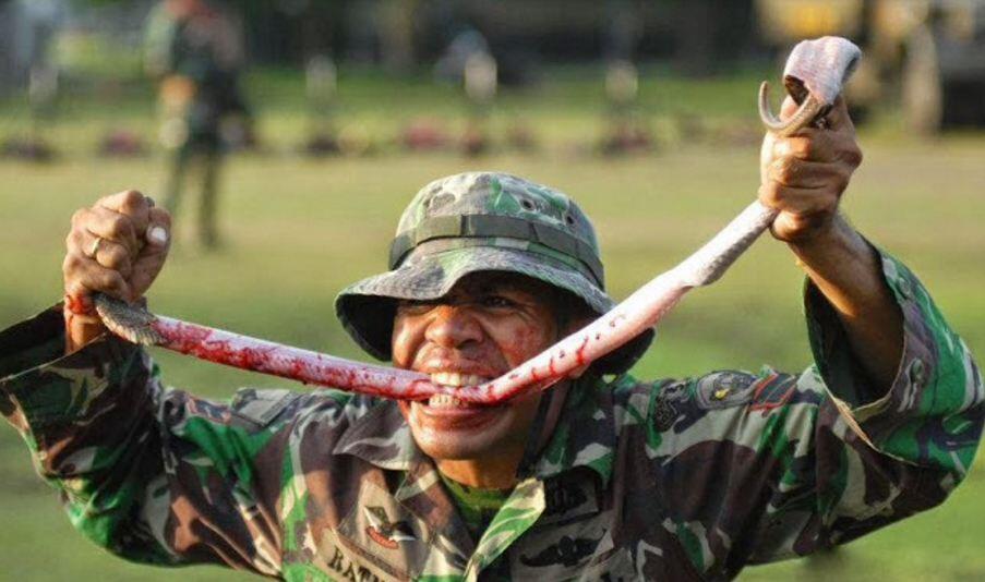 10 Foto Latihan Ekstrim Tentara Dari Berbagai Negara (Bikin Melongo)