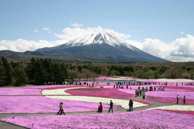 Wisata Fantastis Jepang Yang Sayang Untuk Dilewatkan