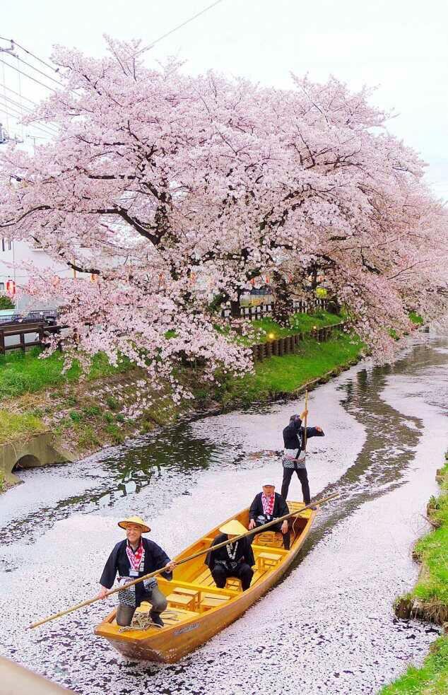 Wisata Fantastis Jepang Yang Sayang Untuk Dilewatkan