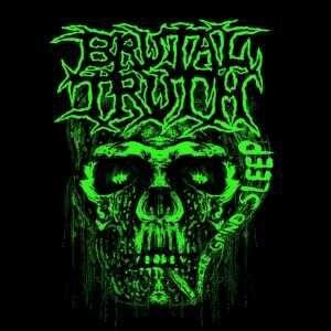 Apa itu Music Metal !!!