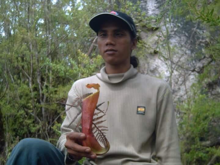 &#91;CATPER &#93; Gunung Hauk - kalimantan.