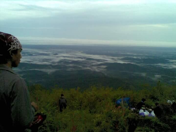 &#91;CATPER &#93; Gunung Hauk - kalimantan.