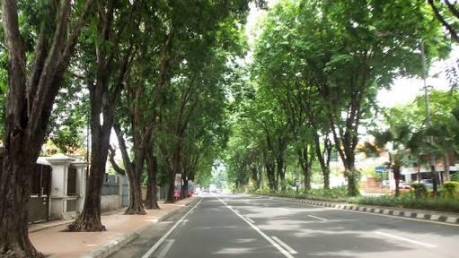 Kalau Risma memimpin jakarta..