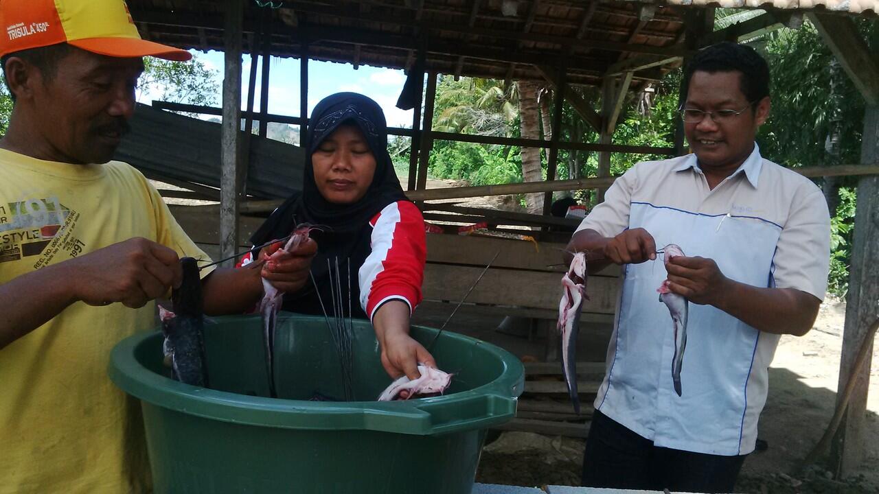 mari membuat ikan lele asap gan, kalo di gorontalo namanya lele fufu