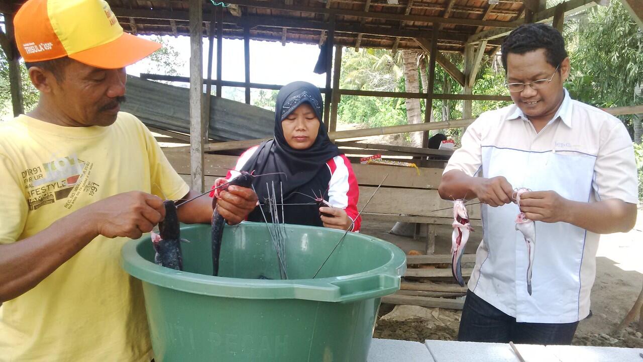 mari membuat ikan lele asap gan, kalo di gorontalo namanya lele fufu