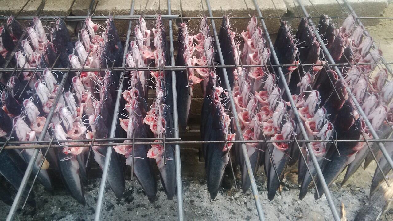 mari membuat ikan lele asap gan, kalo di gorontalo namanya lele fufu
