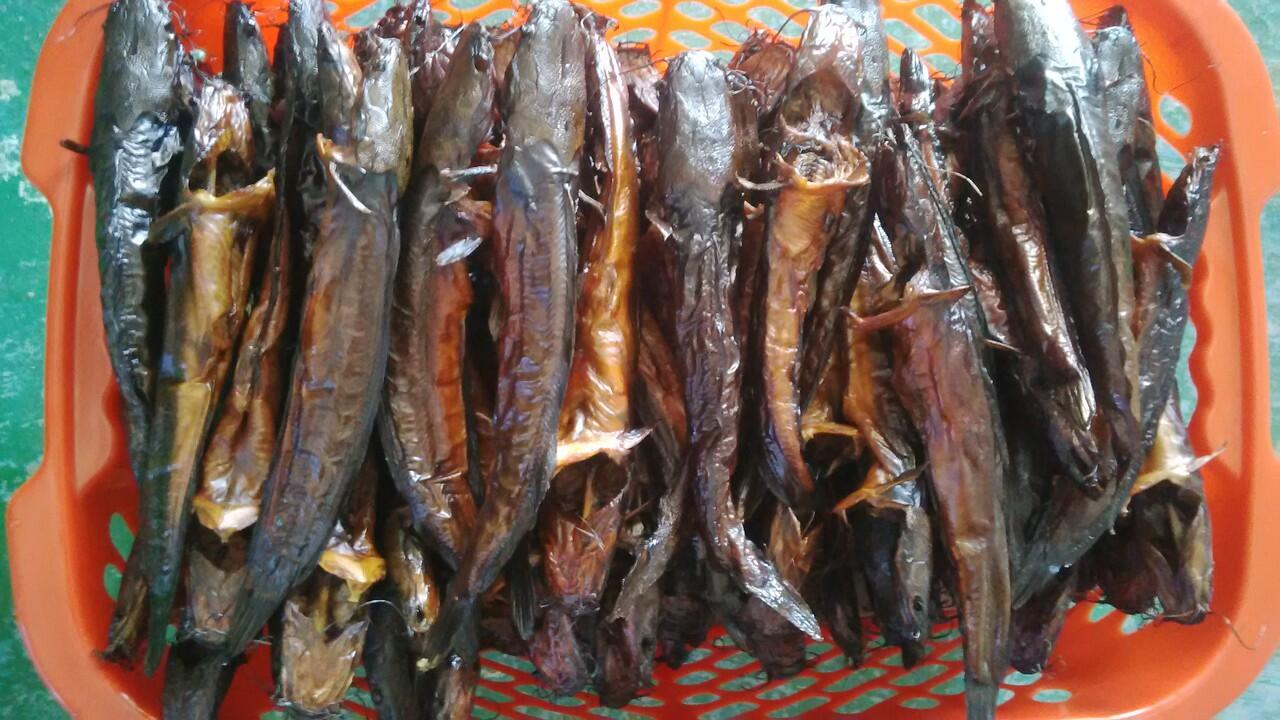 mari membuat ikan lele asap gan, kalo di gorontalo namanya lele fufu