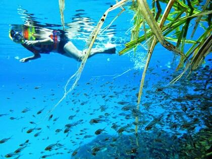 Danaunya 1, Keajaibannya 2! Ya, Itulah Danau Labuan Cermin!