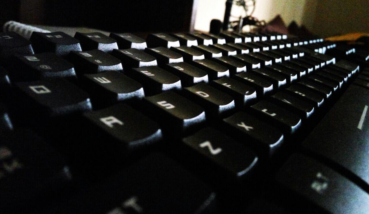 REVIEW REXUS K9 FOTRESS