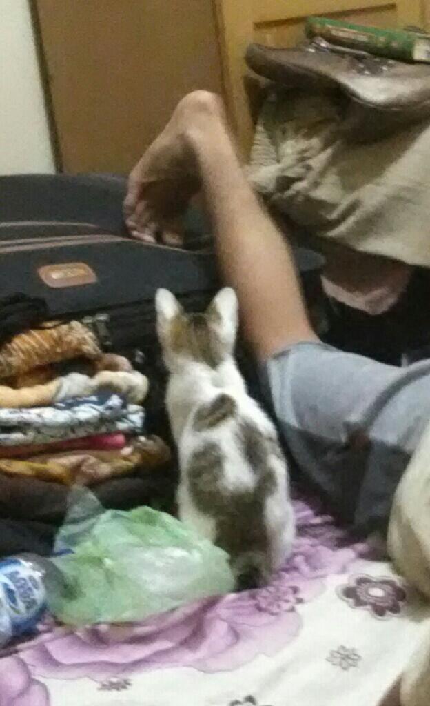 Tolong bantu saya yang bisa nerawang